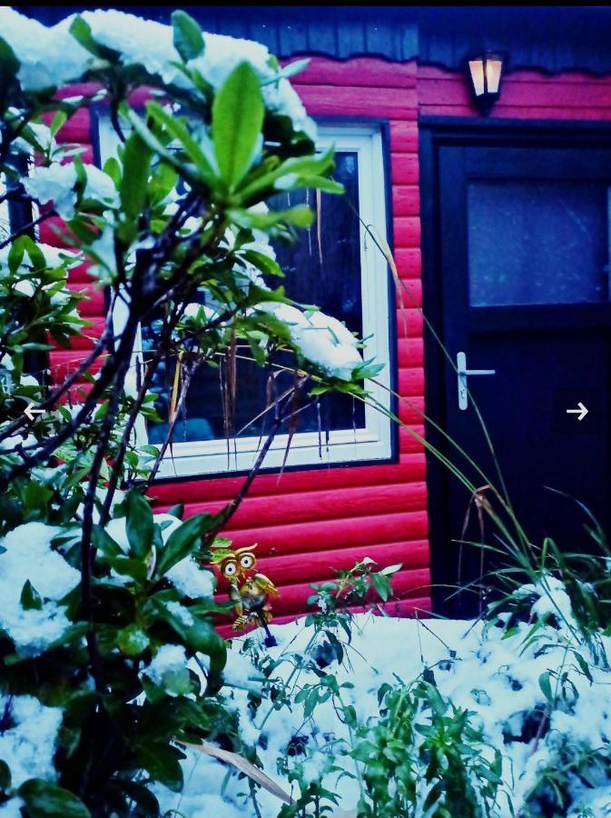 Вилла Tiny Waldheim Биллербек Экстерьер фото